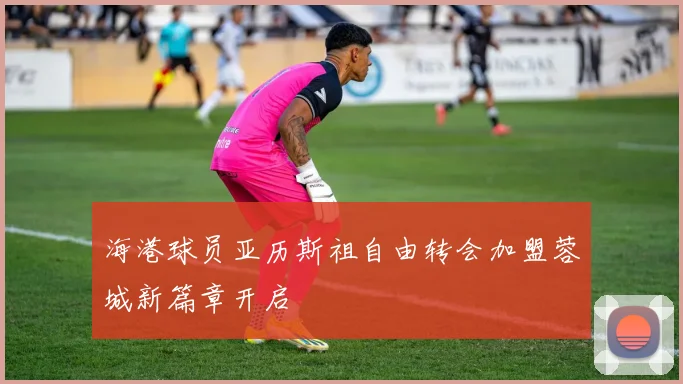 海港球员亚历斯祖自由转会加盟蓉城新篇章开启