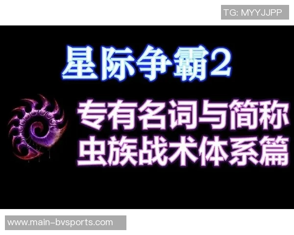 伊森谈更重要角色：时间和机会是我战术设计的关键因素