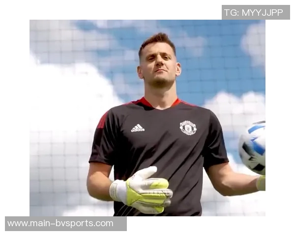 汤姆希顿赞拉门斯基本功卓越冷静性格坚韧展现出色潜力 汤姆希顿赞拉门斯基本功卓越冷静性格坚韧展现出色潜力